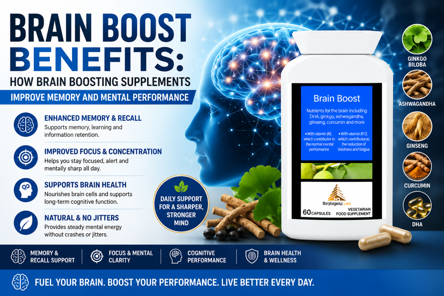 Brain Boost Benefits: How Brain Boosting Supplements Improve Memory and Mental Performance