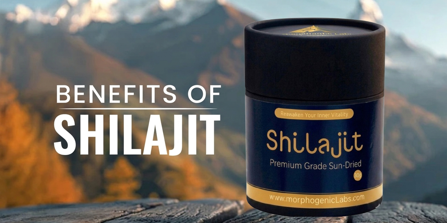 What Is Shilajit and Where Does It Come From?