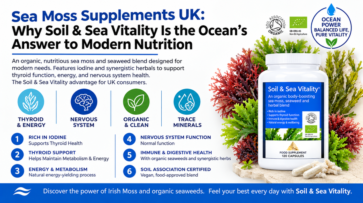 Sea Moss Supplements UK: Why Soil & Sea Vitality Is the Ocean's Answer to Modern Nutrition
